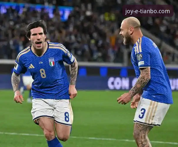 波黑点杀意大利挺进世界杯，天博体育平台赛事投注实战分析最新动态