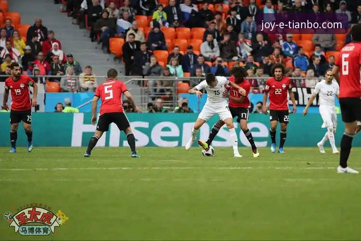 绝杀狂欢与平台体验：天博体育如何重塑你的观赛维度